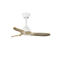 small Ceiling Fans